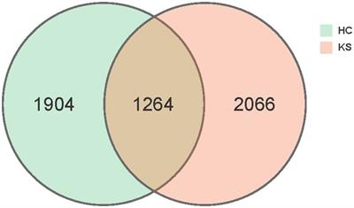 The urinary microbiota composition and functionality of calcium <mark class="highlighted">oxalate</mark> stone formers